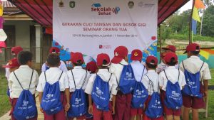 Psf Program Cuci Tangan